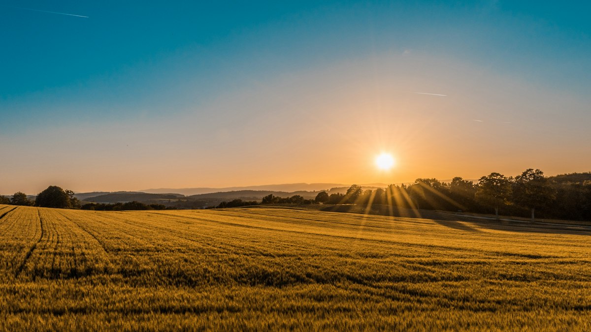Rural farmland at sunset